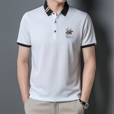新款短袖t恤男中年体恤爸爸装夏季中老年男装半袖polo汗衫父亲节，男装T恤，电商B212（原钱塘6029）