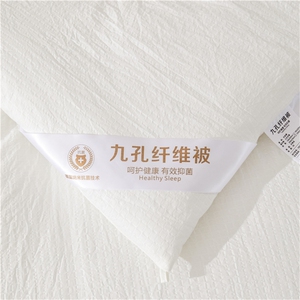 新款A类母婴级华夫格九孔纤维被被子被芯图片