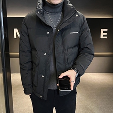 2025新款冬季男士羽绒服潮牌立领外套上衣A313-6308-P120特批，男装羽绒服，电商A313