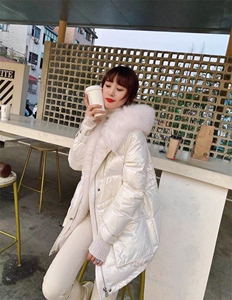 冬装羽绒服图片