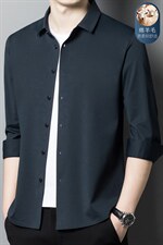 衬衫男长袖2023秋季新款绵羊毛免烫抗皱中年男士衬衣寸时尚百搭，男装衬衫，电商B212（原钱塘6029）