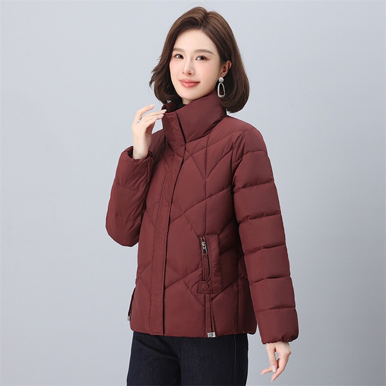 2024年冬季新款时尚立领棉服休闲羽绒棉棉服,女装棉衣/棉服,依恋蒂丝
