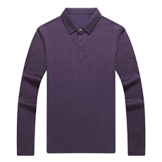 polo衫男长袖春秋季2023新款商务休闲中年爸爸装翻领T恤上衣服，男装T恤，电商B212（原钱塘6029）