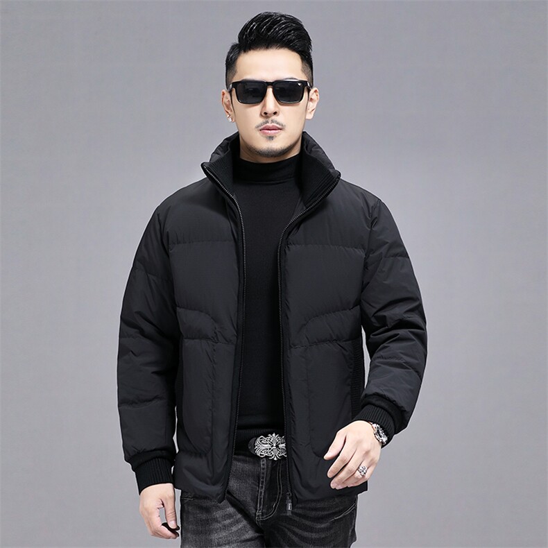 2023新款立领羽绒服男士中年商务休闲冬季上衣男装厚款保暖外套,男装羽绒服,电商B212（原钱塘6029）