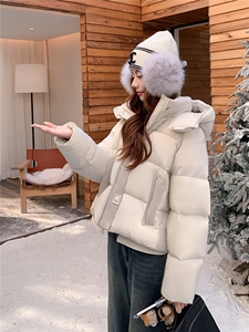 现货新款2163-P275-K399小个子羽绒面包服图片