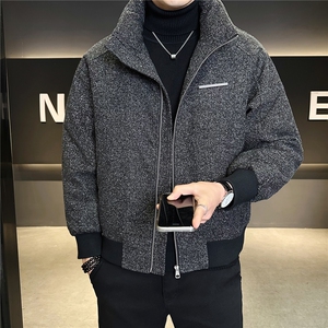 标50绒 轻薄立领羽绒服男冬季2025新款毛呢外套 A313-6669-P215图片
