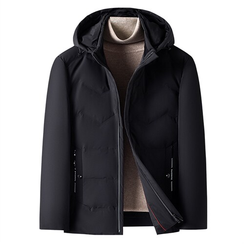 羽绒服男士商务冬季新款休闲连帽可卸中青年保暖外套DD21722-P335,男装羽绒服,电商B212（原钱塘6029）