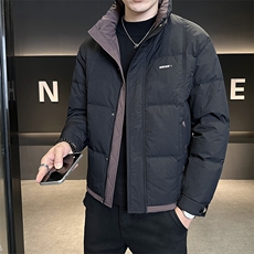 标50白鸭绒轻薄款男装羽绒服2025新款冬季外套C317-Y8566-P175，男装羽绒服，电商C317