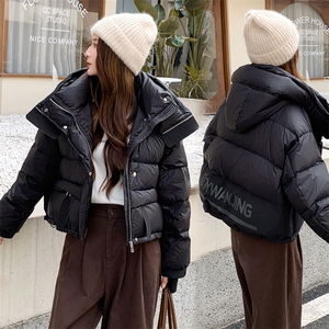 现货可推2025冬装新款加厚白鸭绒气质休闲宽松显瘦羽绒服女图片