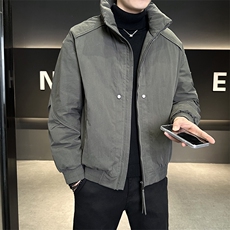 90%标白鸭绒2025冬季时尚立领休闲加厚羽绒服外套6675-P270，男装羽绒服，电商A413