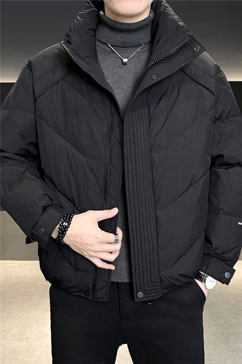90%标白鸭绒2025冬季立领休闲短款加厚羽绒服外套M8752-P290,男装羽绒服,电商A413