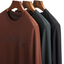 圆领卫衣2023秋季新品舒适套头衫上衣中年男士外套品牌男装，男装卫衣，电商B212（原钱塘6029）