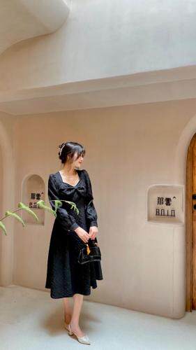 秋装新款款连衣裙精致款m-4xL，女装连衣裙，董与陈