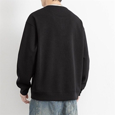 W25227-特P58春秋时尚休闲卫衣男打底衫，男装卫衣，电商D310B
