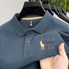 中年男士长袖T恤时尚高端polo衫春秋季爸爸装卫衣上衣服刺绣秋衣，男装T恤，电商B212（原钱塘6029）