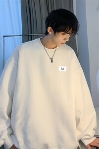 2026秋季新款男生百搭宽松上衣多色圆领卫衣JK23342特批24控39图片