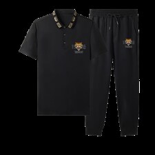 短袖T恤套装男2023夏季新款青年男士冰丝薄款t恤休闲裤两件套男，男装休闲套装，电商B212（原钱塘6029）