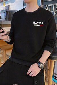 2021新款秋季卫衣男圆领套头潮流无帽休闲长袖打底衫DF116T图片