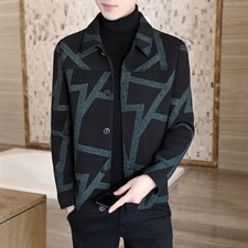 现货主推秋冬季男士毛呢大衣短款翻领夹克外套N28P120图片