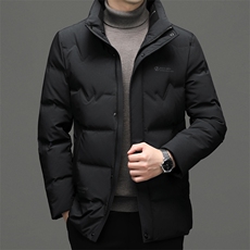 2023冬季新款男士商务休闲立领羽绒服中年爸爸装加厚保暖外套，男装羽绒服，电商B212（原钱塘6029）