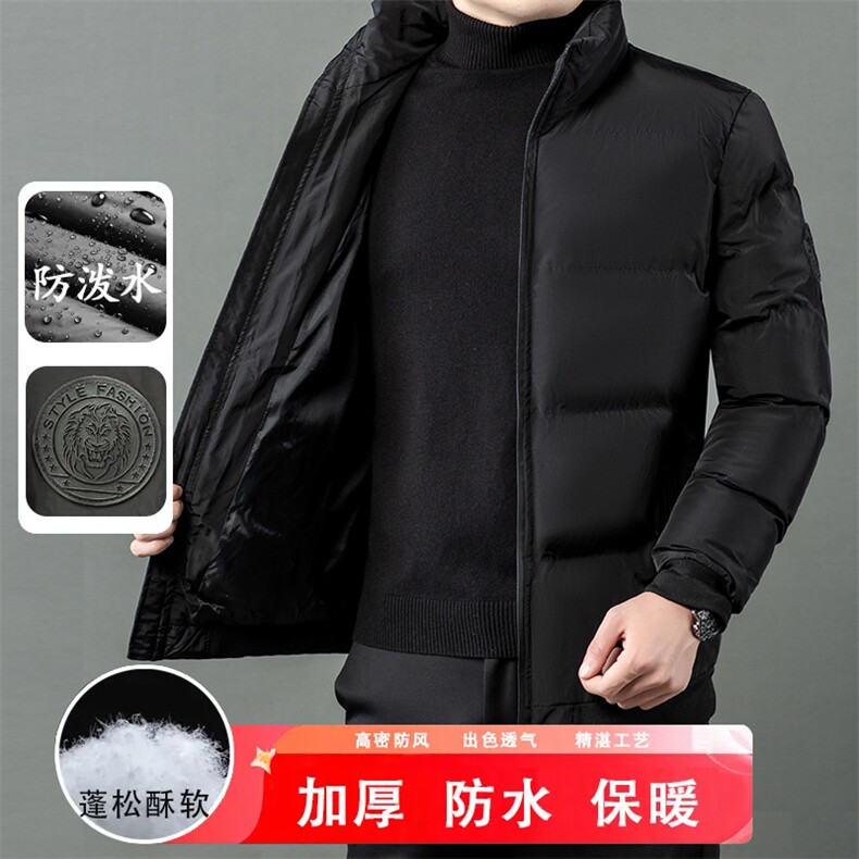 秋冬季棉服男士立领保暖潮服休闲防寒虎头外套户外大码短款男装,男装棉衣,钱塘6003（原4033）