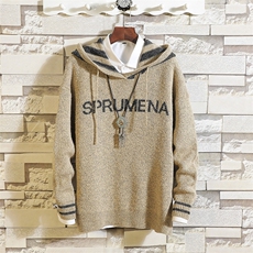 男装秋冬新品毛衫时尚青年韩版针织衫清新连帽毛衣潮DS192T，男装针织衫/毛衣，电商A102