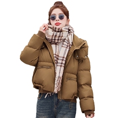 现货，白鸭绒2025年冬季新款白鸭绒短款宽松外套，女装羽绒服，布依丽人