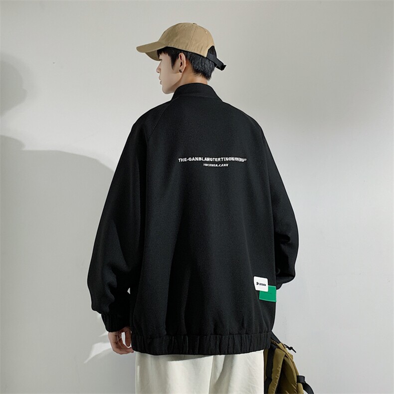 秋装新款高级感外套男立领夹克运动休闲宽松华夫格上衣男J201-P75图片