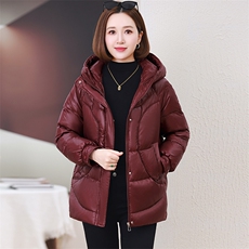2024新款纯色连帽时尚休闲棉衣棉服【现货】，女装棉衣/棉服，婷思杰（原婷想服饰）