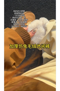 仿兔毛绒加厚休闲裤 D7048-TP5088防水登山冲锋裤防风滑雪裤图片