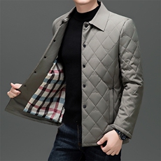高端商务翻领棉服男2026秋季新款爸爸装棉衣休闲秋装轻薄棉袄外套，男装棉衣，电商B212（原钱塘6029）