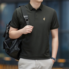 polo衫中年商务休闲男装夏季新款男士短袖T恤半袖翻领宽松上衣服，男装Polo衫，电商B212（原钱塘6029）