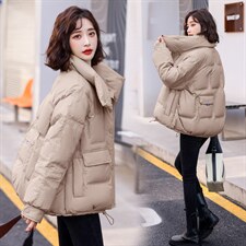 2021年冬季加厚常规立领简约休闲时尚羽绒服ins女，女装羽绒服，韩蜜菓