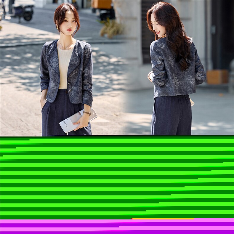 2025秋装新款简约时尚复古休闲两件套,女装套装/套裙,罗腾