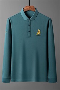 BN1001钱塘2020-2男士秋季纯POLO衫商务休闲长袖纯色T恤P65图片