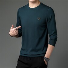 2023新款长袖商务休闲套头上衣男士秋季中年印花圆领时尚百搭卫衣，男装卫衣，电商B212（原钱塘6029）