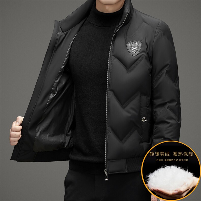 秋冬季立领羽绒服男士白鸭绒短款商务休闲户外保暖高级感外套男,男装羽绒服,钱塘6003（原4033）