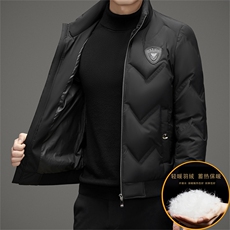 秋冬季立领羽绒服男士白鸭绒短款商务休闲户外保暖高级感外套男，男装羽绒服，钱塘6003（原4033）