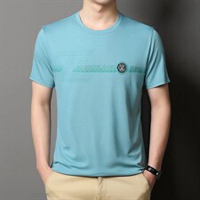 短袖T恤男夏季2023新款百搭圆领休闲中青年男装上衣体恤衫，男装T恤，电商B212（原钱塘6029）