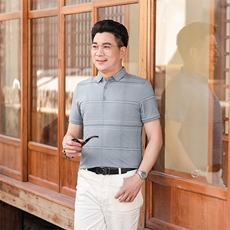 商务休闲男装夏季新款短袖T恤polo衫中年翻领薄款半袖体恤男上装，男装Polo衫，电商B212（原钱塘6029）