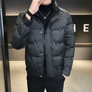 DS-A225-8707新标三防面料男士立领免洗潮流时尚休闲鸭绒羽绒服图片