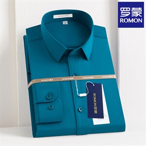 秋天衬衫男长袖秋季薄款中年男士商务休闲纯色免烫无缝衬衣图片