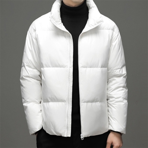 2024年新款羽绒服P265图片