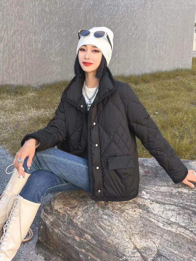 [现货]简单大方休闲款羽绒服，四色、三个尺码，女装羽绒服，依柏璐(1F)