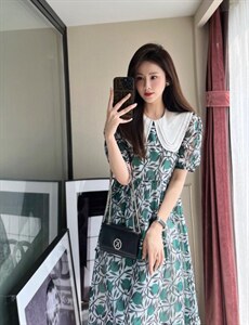 夏装大领子减龄连衣裙两个色图片