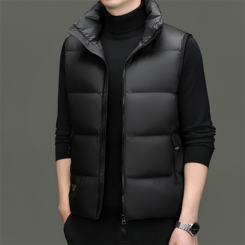 DF8011钱塘2020-2冬季时尚简约新款中年男士羽绒服P188,男装羽绒服,钱塘207-2