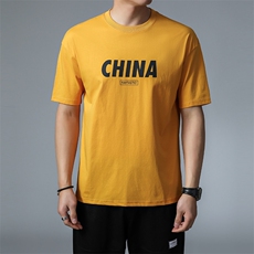 夏季短袖T恤2023新款圆领时尚潮流半袖上衣中青年装YF1901-P50，男装T恤，星座1105-3