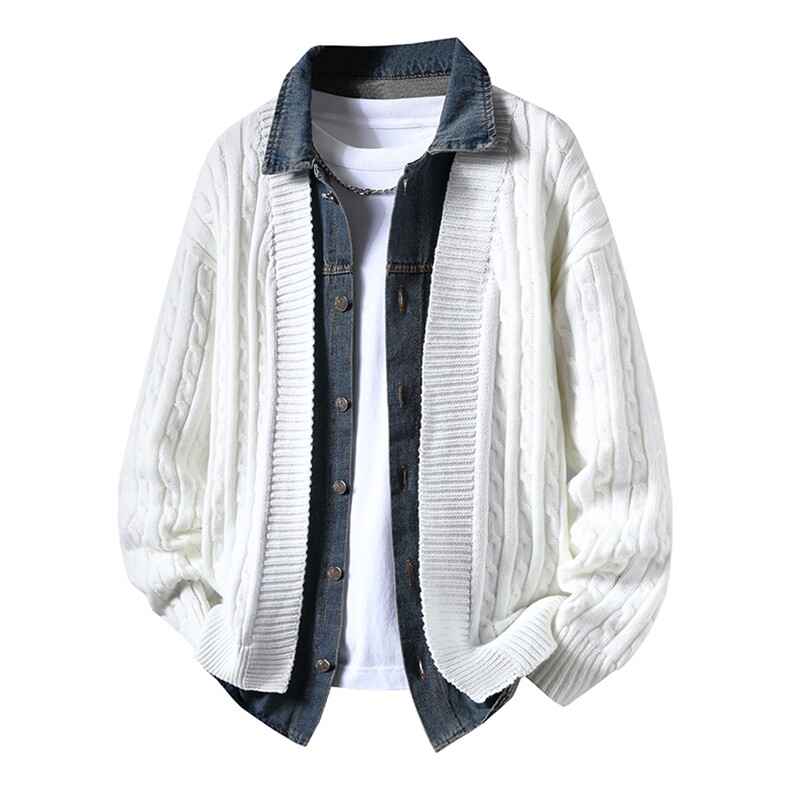 【抖音得物】2025年秋季时尚毛衣针织开衫翻领假两件长袖，男装针织衫/毛衣，电商A113