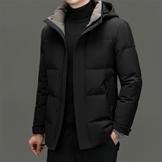 DF2386钱塘2020-2新款百搭简约有帽厚款中年男士羽绒服P273，男装羽绒服，钱塘207-2