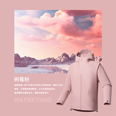 树莓粉
